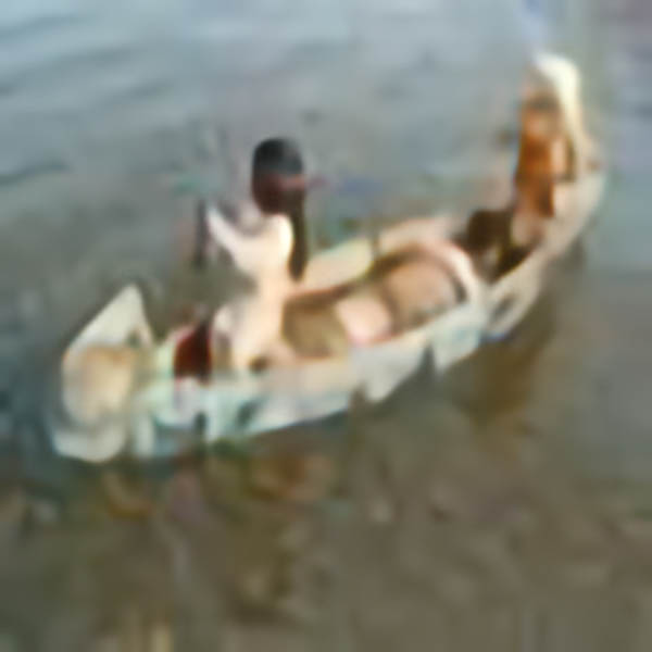 Indian Canoe